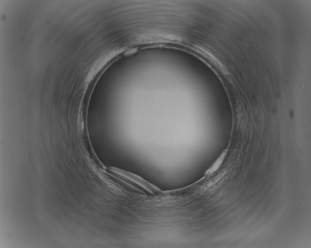 X0000073480885200608211622