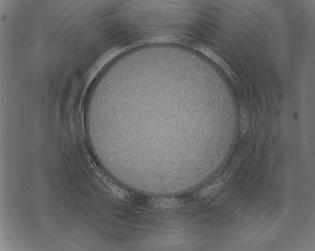 X0000073480886200608211622