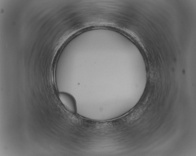 X0000073480887200608211622