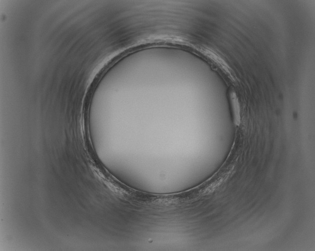 X0000073480888200608211622