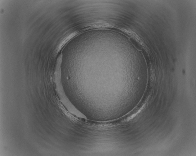 X0000073480889200608211622