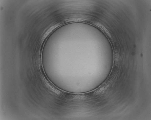 X0000073480890200608211622