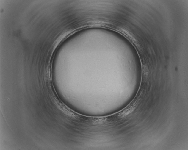 X0000073480891200608211622