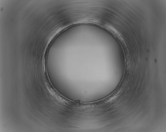 X0000073480892200608211622