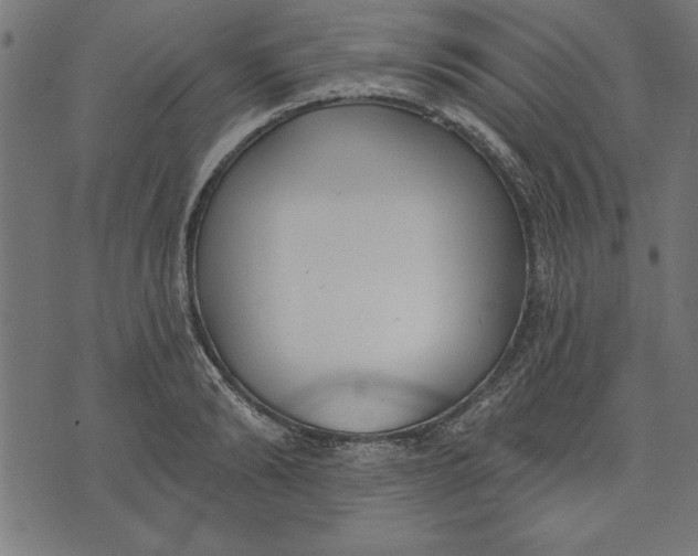 X0000073480894200608211622