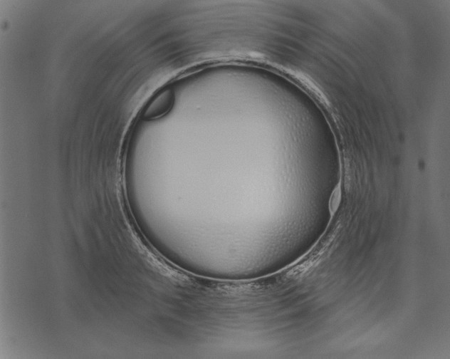 X0000073480895200608211622