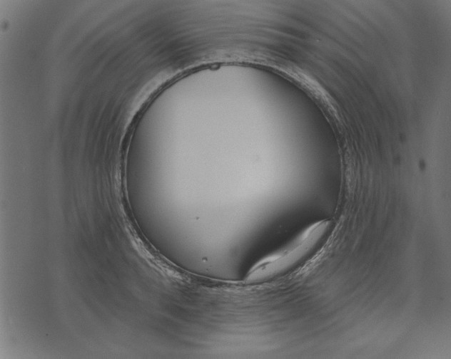 X0000073480896200608211622