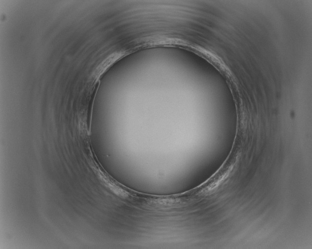 X0000073480897200608211622