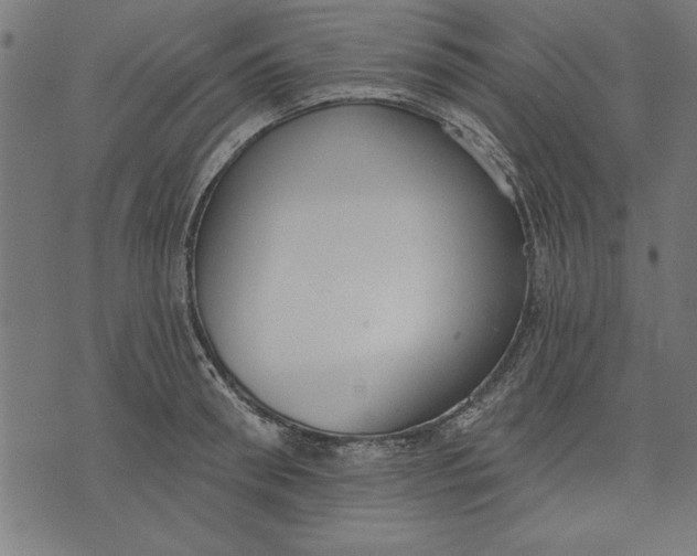 X0000073480898200608211622