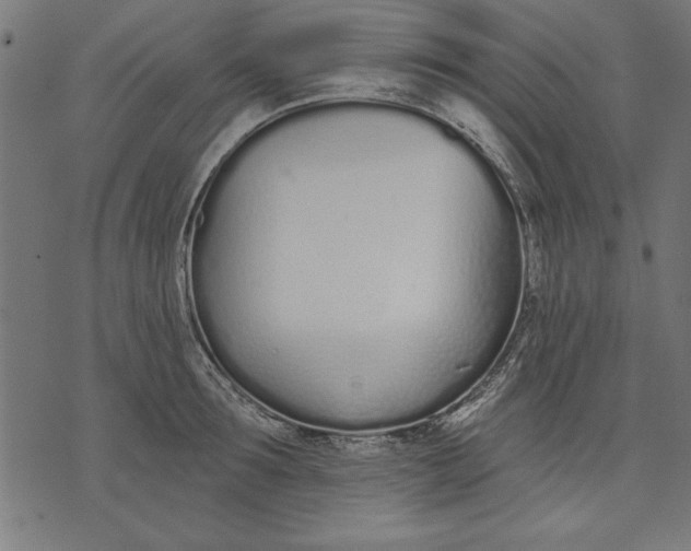 X0000073480899200608211622