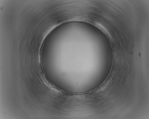 X0000073480900200608211622