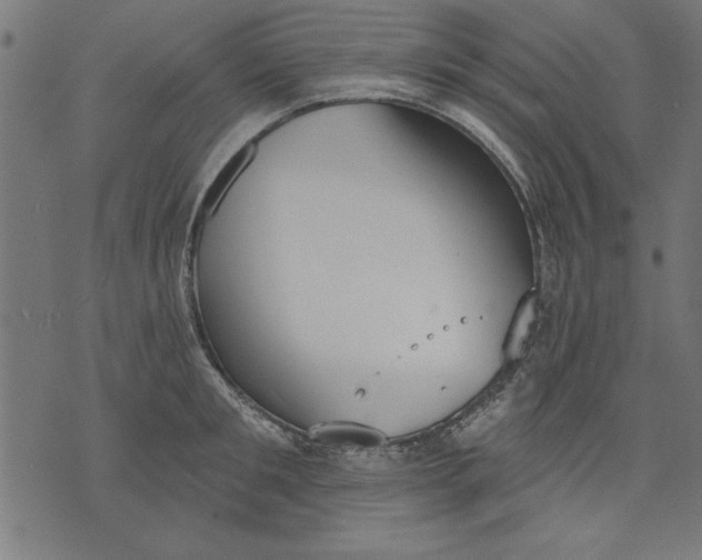 X0000073480901200608211622