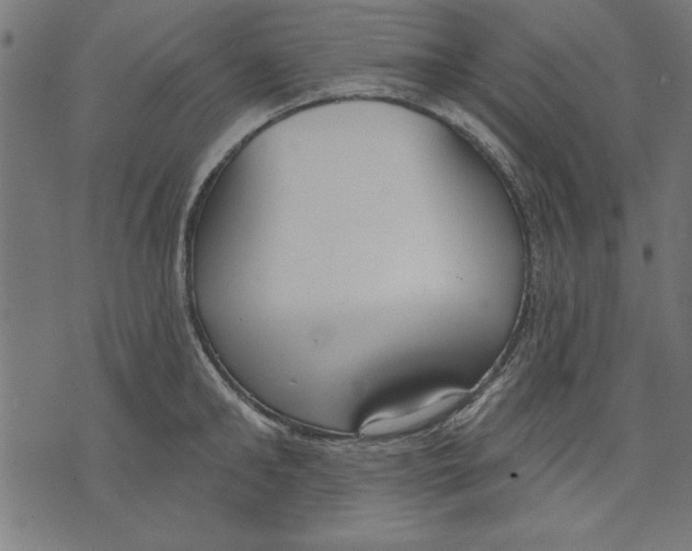 X0000073480902200608211622