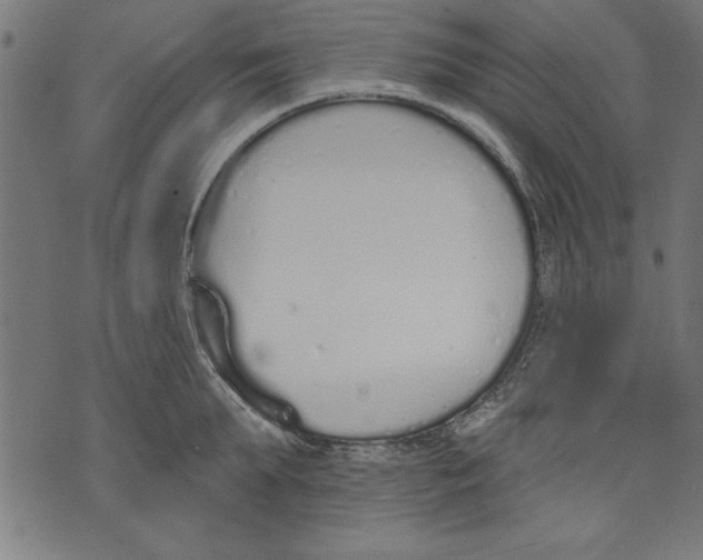 X0000073480903200608211622