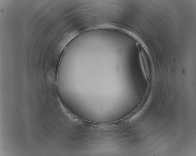 X0000073480905200608211622