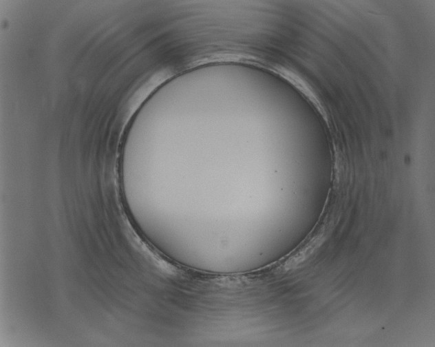 X0000073480906200608211622