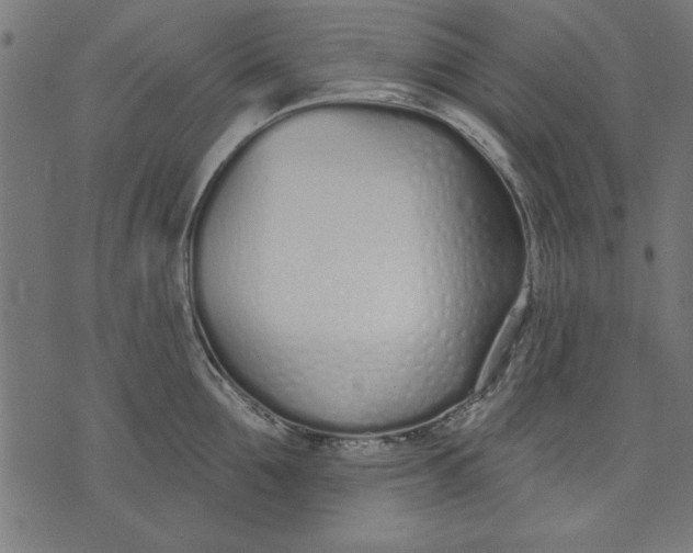 X0000073480907200608211622