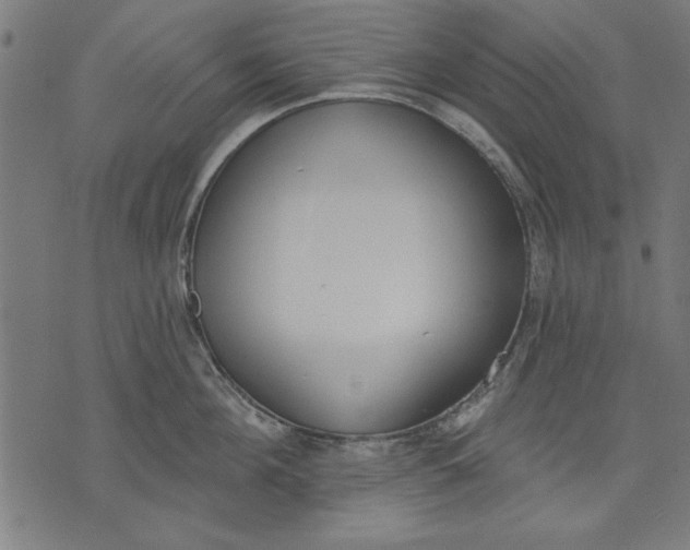 X0000073480908200608211622