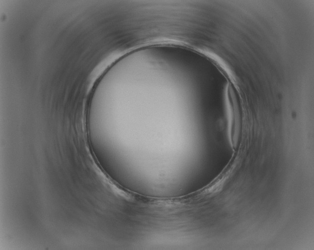 X0000073480910200608211622