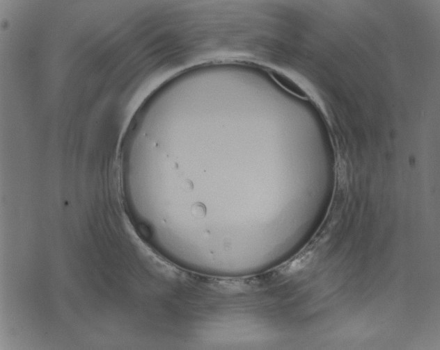 X0000073480911200608211622