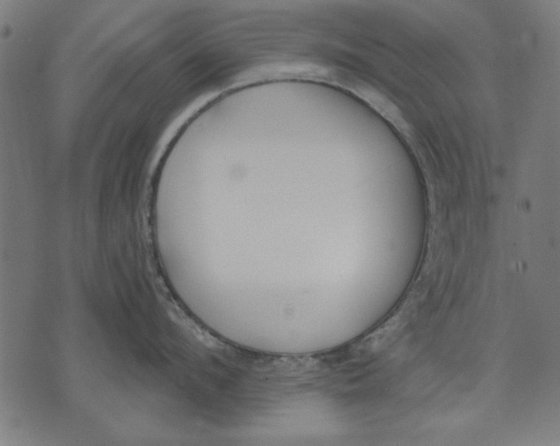 X0000073480912200608211622