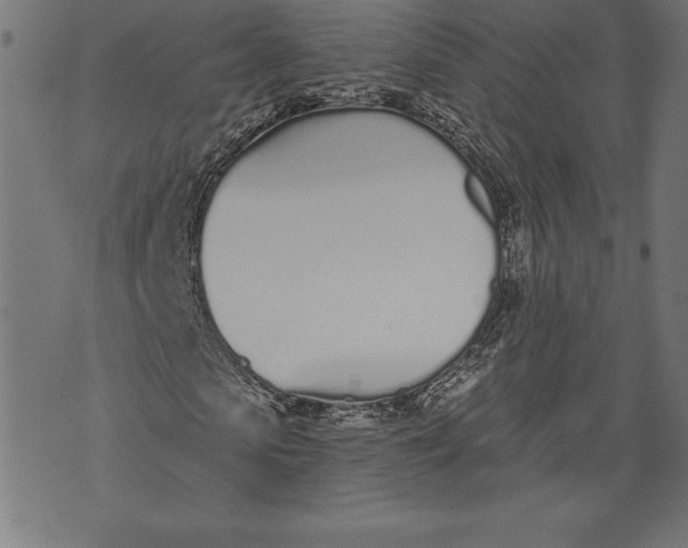 X0000073480913200608211621