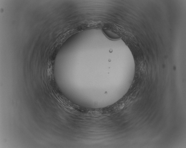 X0000073480914200608211621