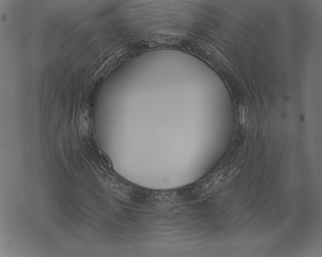 X0000073480915200608211621