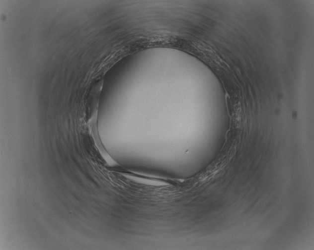 X0000073480916200608211621