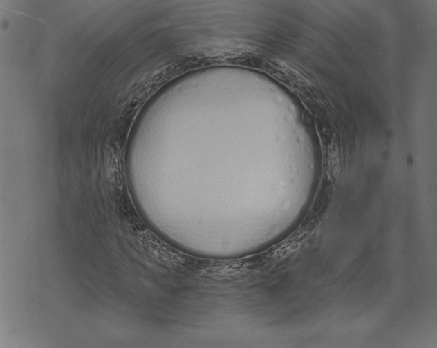 X0000073480917200608211621