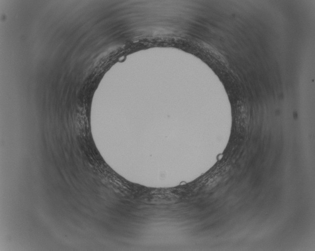 X0000073480918200608211621