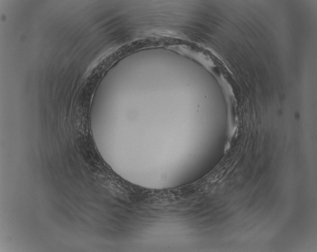 X0000073480919200608211621