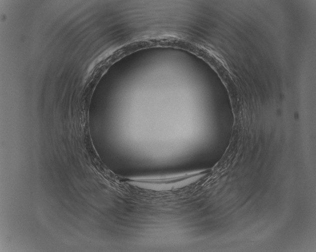 X0000073480920200608211621