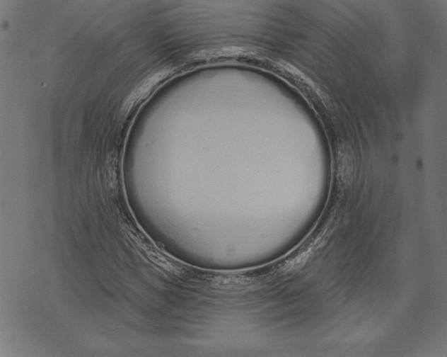 X0000073480921200608211621