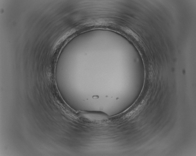 X0000073480922200608211621