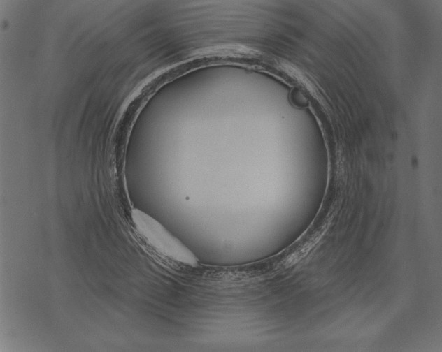 X0000073480923200608211621