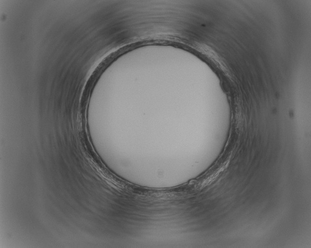 X0000073480924200608211621