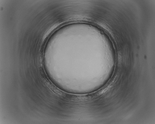 X0000073480925200608211621