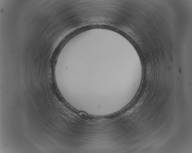 X0000073480926200608211621