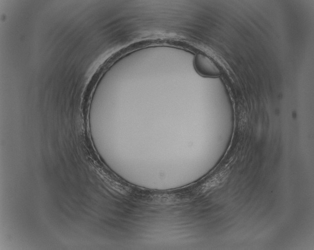 X0000073480927200608211621