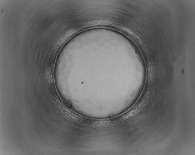 X0000073480929200608211621