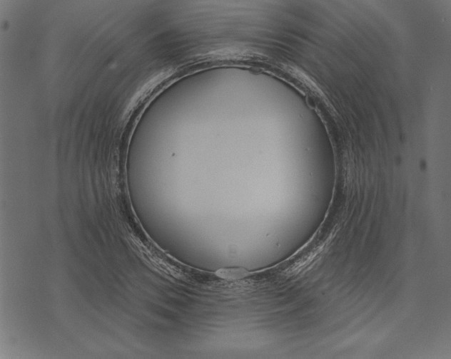 X0000073480930200608211621