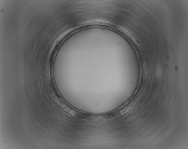 X0000073480931200608211621