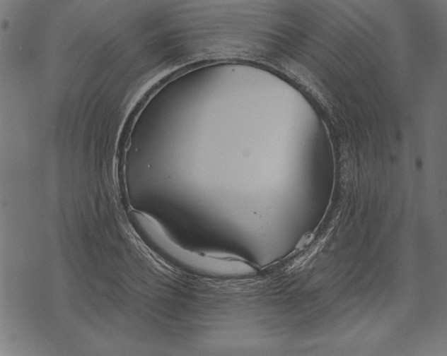 X0000073480932200608211621