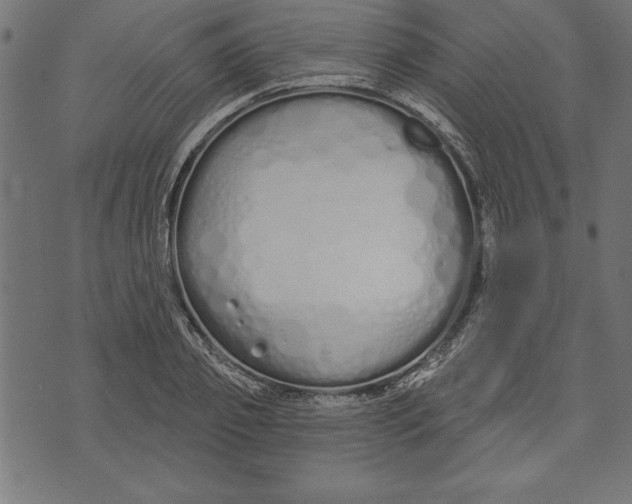 X0000073480933200608211621