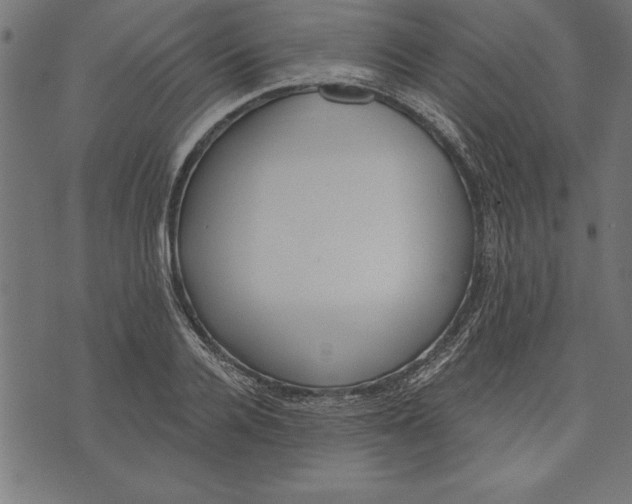 X0000073480936200608211621