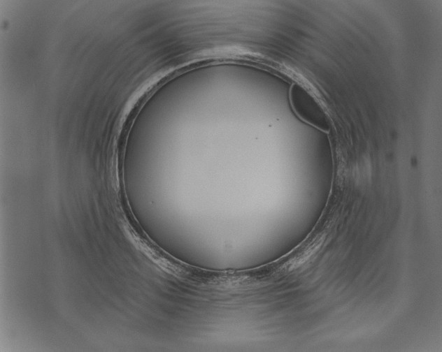 X0000073480939200608211621