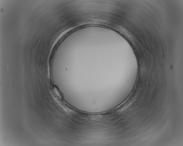 X0000073480940200608211621