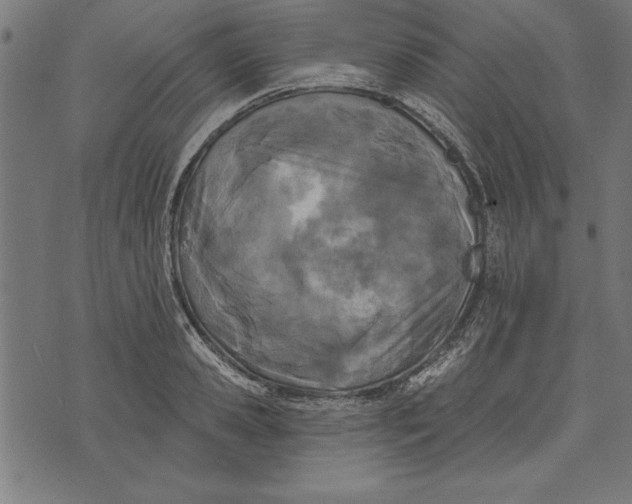 X0000073480941200608211621