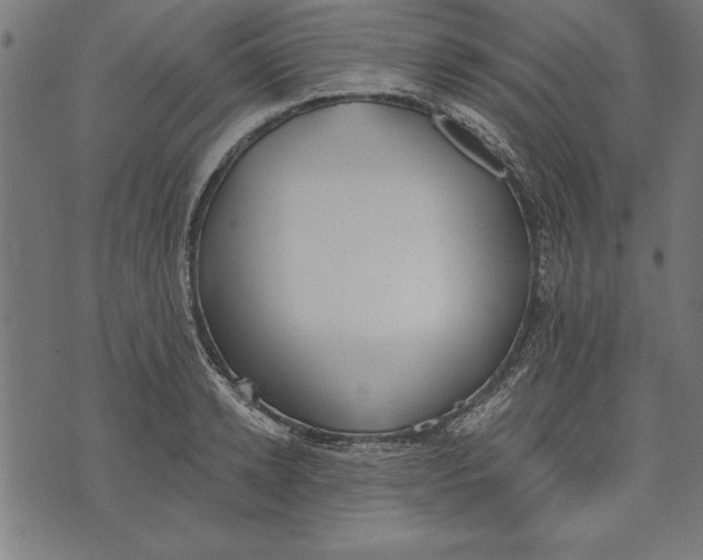 X0000073480942200608211621